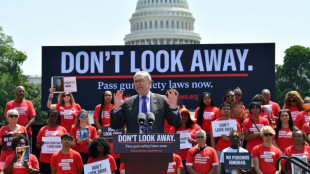 Congreso de EEUU discute ley de control de armas tras rev&eacute;s en la Corte Suprema