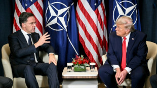 Wei&szlig;es Haus: Trump will mit Rutte &uuml;ber m&ouml;glichen Nato-Austritt diskutieren
