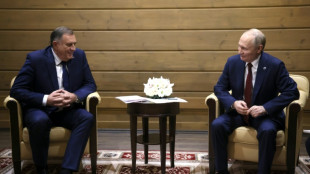 Nach Absetzung Dodiks: Interimspräsidentin der serbischen Teilrepublik Bosniens gewählt