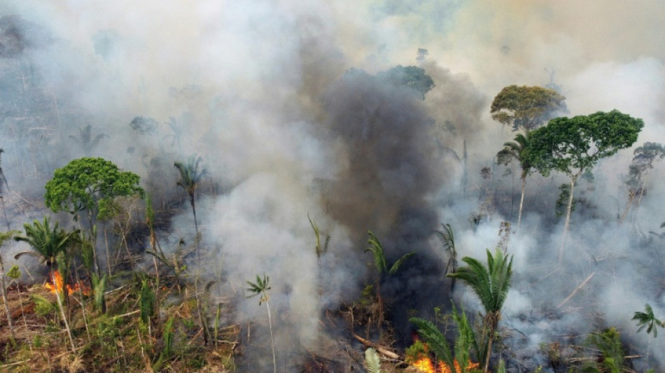 Br&eacute;sil: Lula annonce un nouveau plan contre la d&eacute;forestation de l'Amazonie