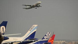 Snakes on a plane: Indian smuggler caught with venomous vipers