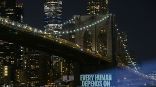 Trait&eacute; pour prot&eacute;ger la haute mer: les n&eacute;gociations en eaux troubles