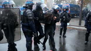 Manifestation &agrave; Paris : 142 interpellations dont 126 gardes &agrave; vue, annonce la pr&eacute;fecture de police