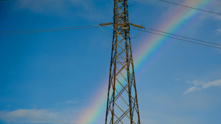 Enea, prezzi energia primi 6 mesi fra i pi&ugrave; alti in Europa