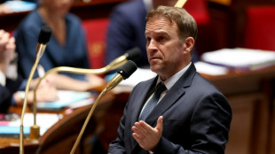 Pariser Nationalversammlung billigt Moratorium für neue Wind- und Solaranlagen