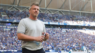 Offiziell: Kwasniok &uuml;bernimmt den 1. FC K&ouml;ln