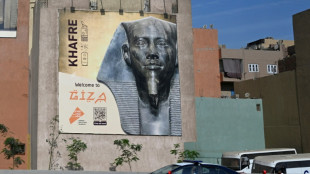 El Cairo acoge un espect&aacute;culo fara&oacute;nico para la inauguraci&oacute;n del Gran Museo Egipcio