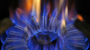 Ch&egrave;que &eacute;nergie: dernier jour d'une campagne marqu&eacute;e par des rattrapages difficiles