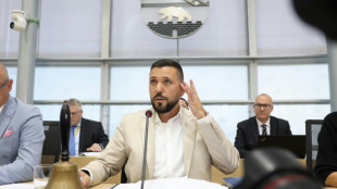 AfD-Landtagspr&auml;sident Rausch: "Brandmauern sollten der Vergangenheit angeh&ouml;ren"