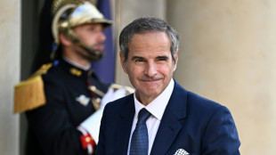 Francia, Alemania y Reino Unido condenan las amenazas contra el director del OIEA 