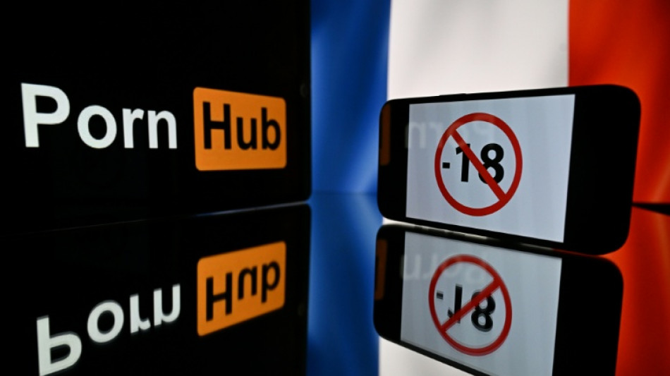 Un alto tribunal franc&eacute;s restablece la obligaci&oacute;n de verificar la edad en los sitios porno