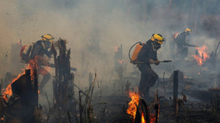 Br&eacute;sil: plus d'incendies en Amazonie depuis janvier que sur toute l'ann&eacute;e 2021 