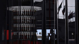 AI-powered meet-up apps fight loneliness