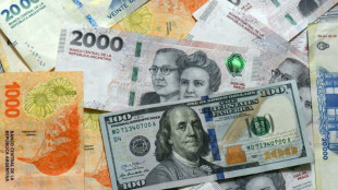 L'Argentine de Milei annonce un pr&ecirc;t de 20 milliards du FMI, lib&egrave;re le contr&ocirc;le des changes