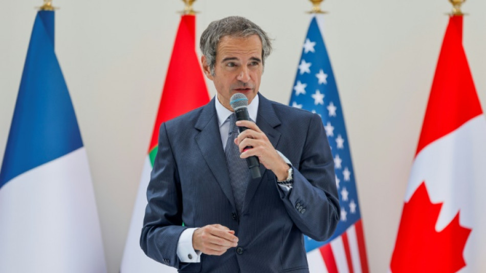 Excluir la energ&iacute;a nuclear del combate clim&aacute;tico es "un error", dice Grossi