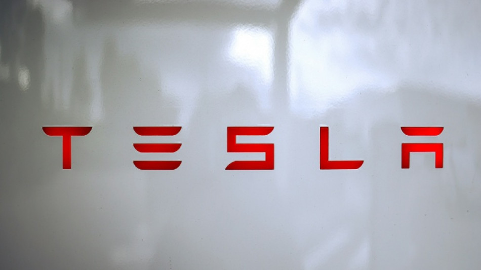 Musk: Tesla-Aktionäre sollen in KI-Startup xAI investieren