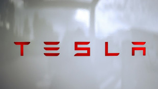 Musk: Tesla-Aktionäre sollen in KI-Startup xAI investieren