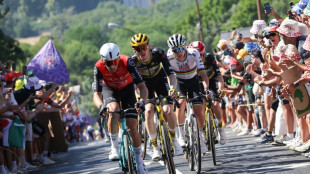 Tour de France: une mar&eacute;e humaine "omnipr&eacute;sente" sur le bord des routes
