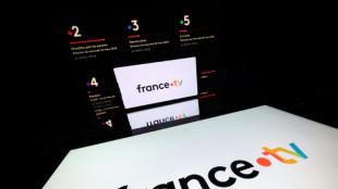 Gr&egrave;ve dans l'audiovisuel public, rapprochement des soci&eacute;t&eacute;s au menu des d&eacute;put&eacute;s