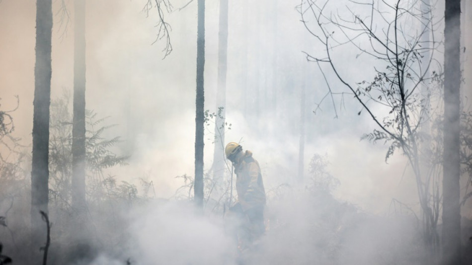 Europa sufre un verano r&eacute;cord de superficie quemada por los incendios