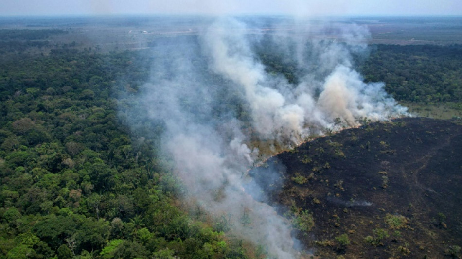 Incendios en Amazon&iacute;a brasile&ntilde;a baten r&eacute;cord para un primer semestre en 20 a&ntilde;os 