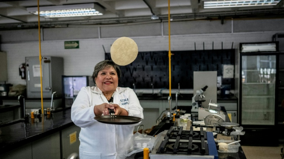 México desenvolve tortilha para combater desnutrição e falta de geladeiras