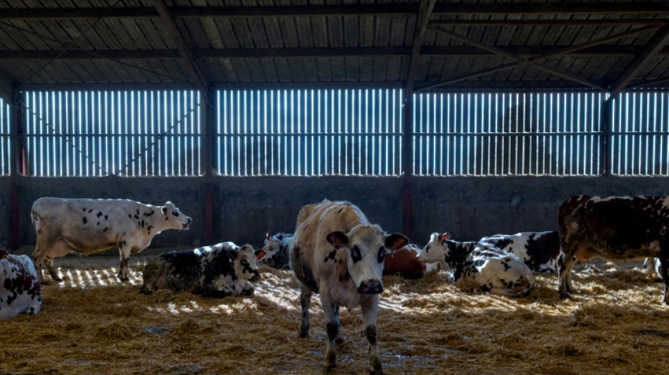 Macron &agrave; "l'&eacute;coute" des agriculteurs, les syndicats restent d&eacute;termin&eacute;s