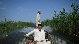 Irak: des pluies hivernales redonnent vie aux mythiques marais m&eacute;sopotamiens