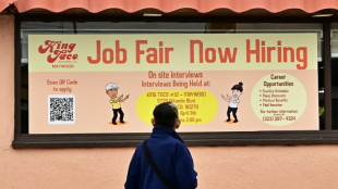 Stocks rise despite weak US jobs data