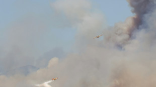 Worst wildfire in Madrid's history forces thousands to flee homes