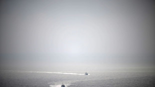 Gro&szlig;britannien will Asylrecht drastisch versch&auml;rfen