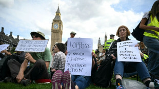 M&aacute;s de 400 detenidos en una manifestaci&oacute;n de apoyo en Londres a un grupo propalestino prohibido
