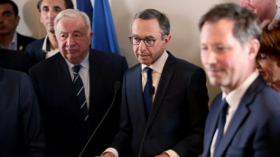 El ministro del Interior se convierte en el nuevo l&iacute;der de la derecha en Francia