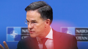 Rutte, Nato garantirà la nostra sicurezza anche sull'ibrido