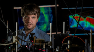 Vencedor do Nobel de Medicina de 2026 espera lan&ccedil;ar luz sobre o c&eacute;rebro