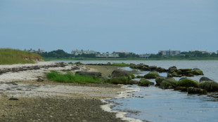 Pr&egrave;s de New York, les derniers Am&eacute;rindiens sous la menace du r&eacute;chauffement climatique