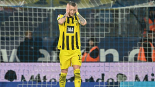 German referee boss admits error in Dortmund draw