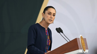 Zollkonflikt: Trump gewährt Mexiko Aufschub um 90 Tage