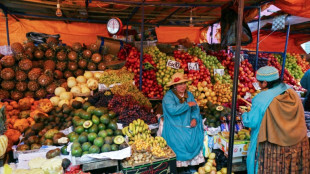 El 50% de comida desechada evitar&iacute;a hambruna a 153 millones de personas, dice informe