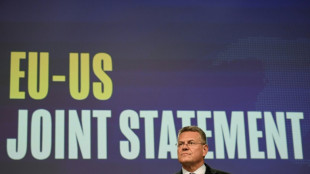 Droits de douane am&eacute;ricains: voitures &agrave; 15%, pas d&rsquo;exemptions pour le vin europ&eacute;en