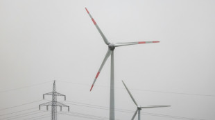 Nördliche Bundesländer fordern Ende einheitlicher Strompreise in Deutschland