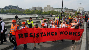 Just Stop Oil activist group holds final march