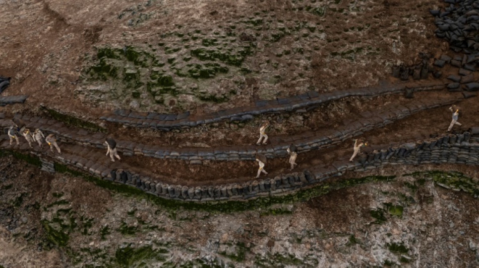 El guano, un tesoro agrícola bajo amenaza en Perú 