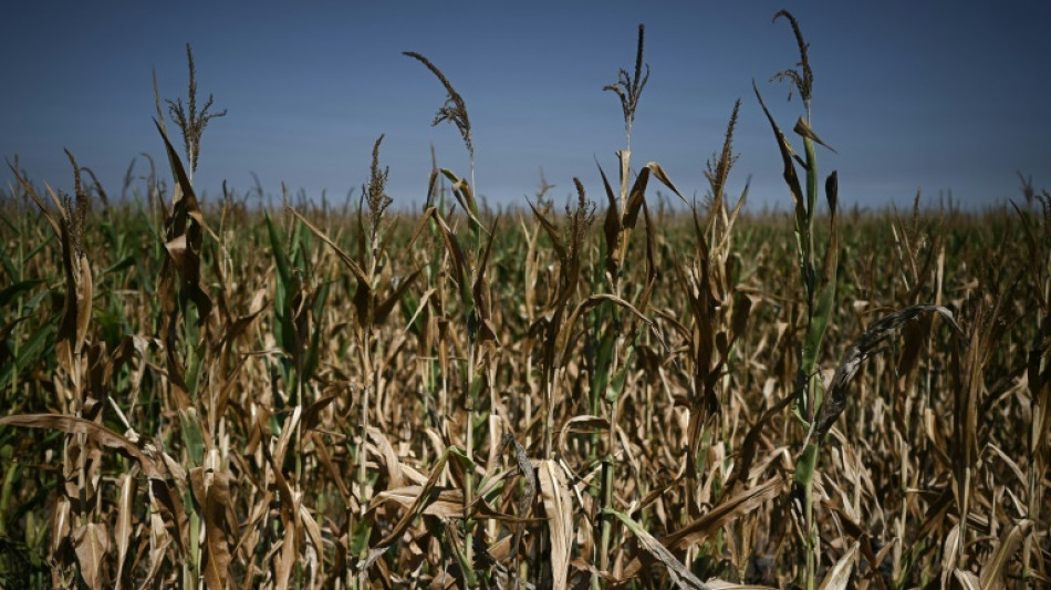 La France entre dans le dur du nouvel &eacute;pisode caniculaire