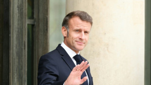 Macron espera opini&oacute;n del Consejo Constitucional para decidir sobre un cuestionado pesticida