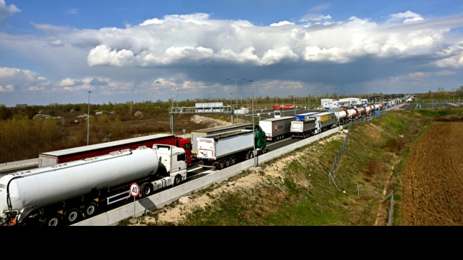 Bosnian truckers blocked EU freight terminals for a day over visa rules