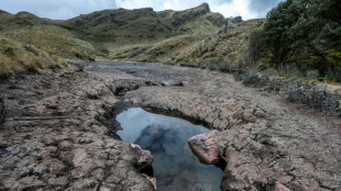 La ONU advierte que El Ni&ntilde;o podr&iacute;a regresar este a&ntilde;o