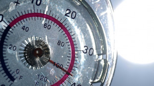 Hitzewelle: Linken-Chef fordert Saison-Kurzarbeitergeld auf dem Bau