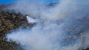 Un nuevo incendio declarado cerca de Atenas