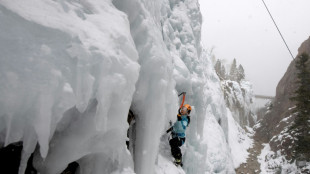 Parque de hielo amenazado por cambio clim&aacute;tico halla un aliado en una mina de EEUU